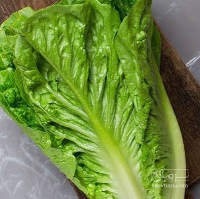 فروش کاهو ایرانی - رومانو