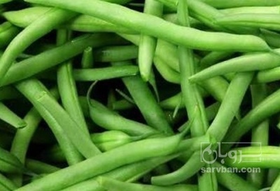 فروش لوبیا سبز