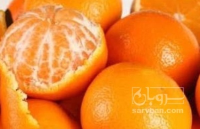 فروش نارنگی