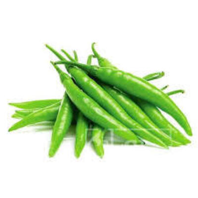 فروش فلفل شمشیری