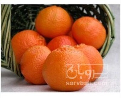 فروش پرتقال