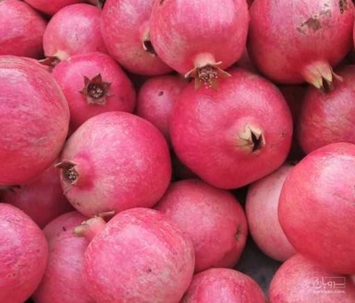 فروش انار