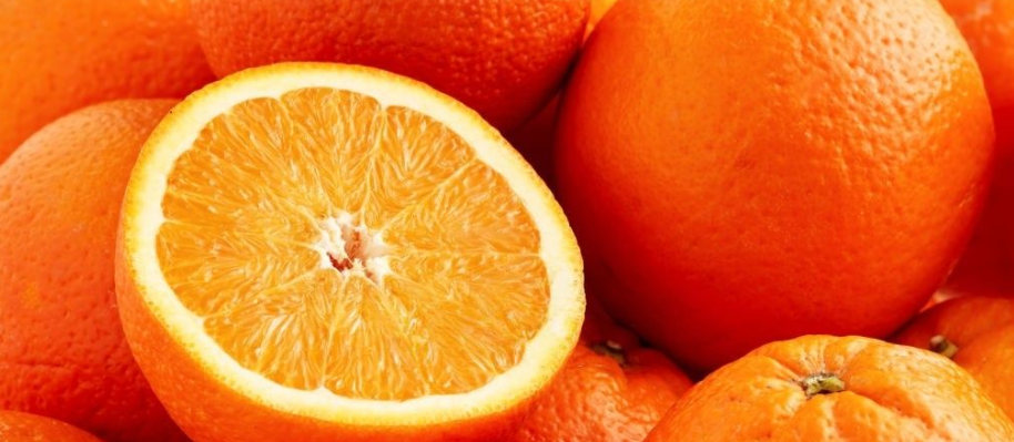 فروش پرتقال