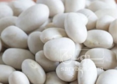 فروش لوبیا سفید