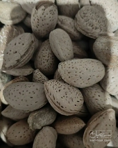 فروش بادام