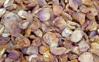 فروش برگه زردآلو