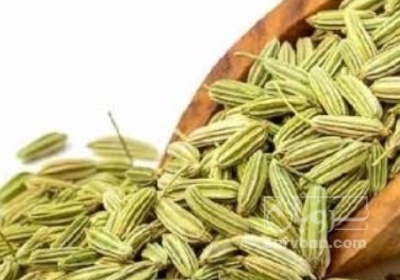 فروش رازیانه (گیاه‌ دارویی)