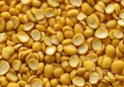 فروش نخود کفتری - لپه