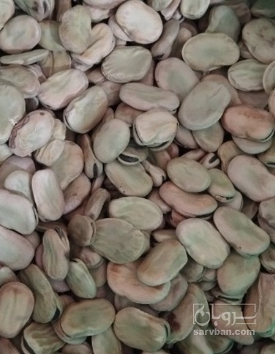 فروش باقالی خوراکی تازه - باقالی - باقالا