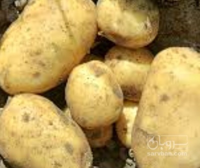 فروش سیب زمینی جلی