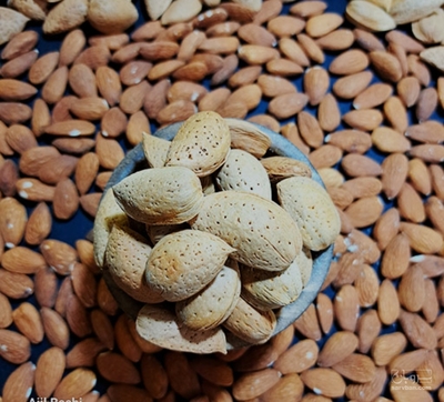 فروش بادام