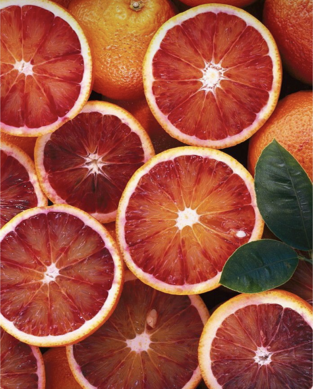 فروش پرتقال خونی