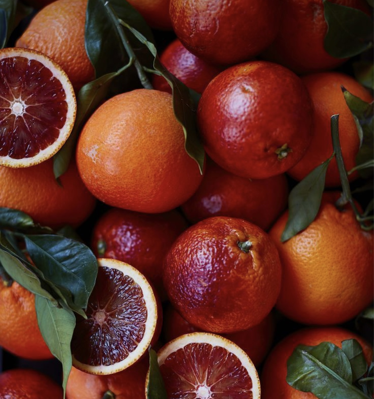 فروش پرتقال خونی