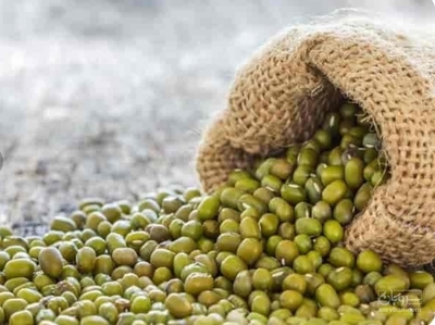فروش ماش