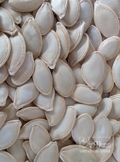 فروش تخمه  کدو بو داده