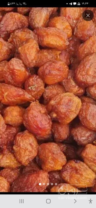 فروش آلو بخارا