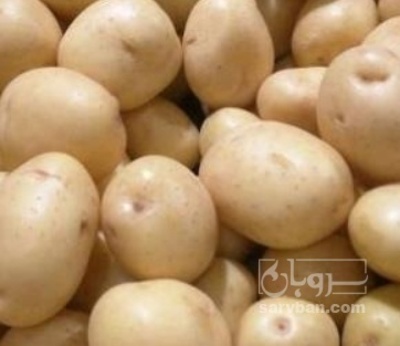 فروش سیب زمینی سیفرا