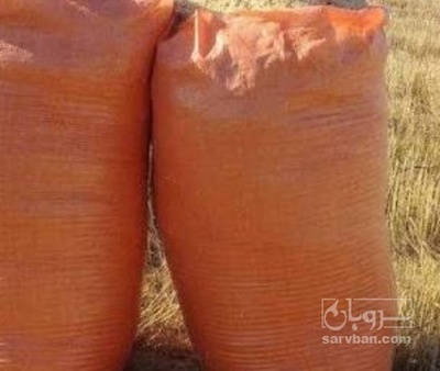 فروش کاه و کلش لوبیا