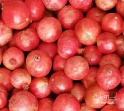 فروش انار