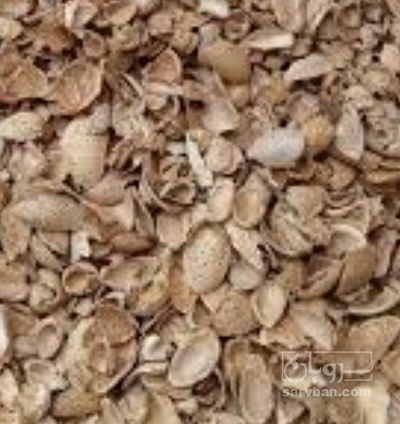 فروش پوست بادام - سنگی - سخت (گیاه‌ دارویی)