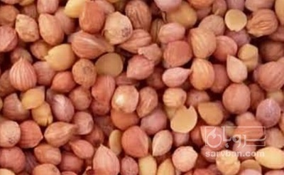 فروش هسته  آلبالو