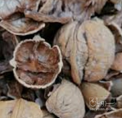 فروش پوست  گردو