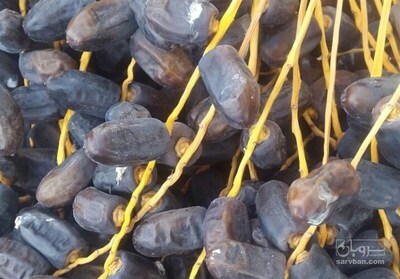 فروش خرما موسوی
