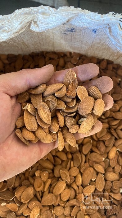 فروش بادام
