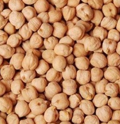 فروش نخود