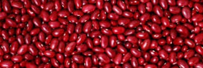 فروش لوبیا قرمز