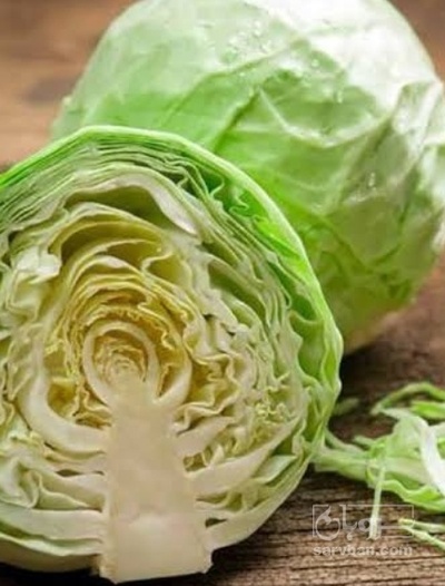 فروش کلم برگی سفید