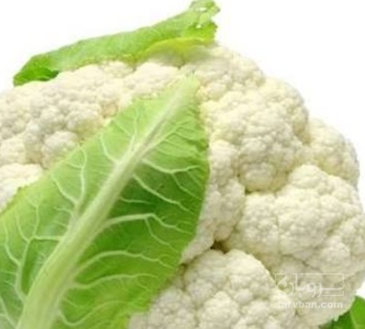 فروش گل کلم