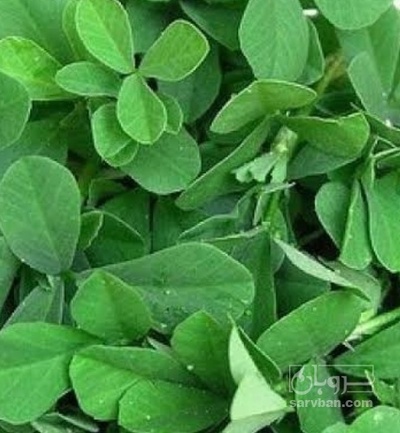 فروش محصولات زراعی