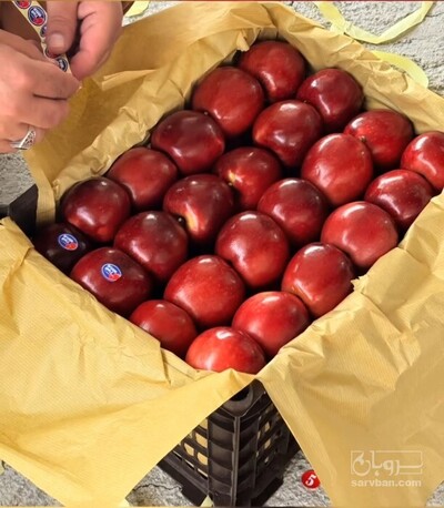 فروش سیب