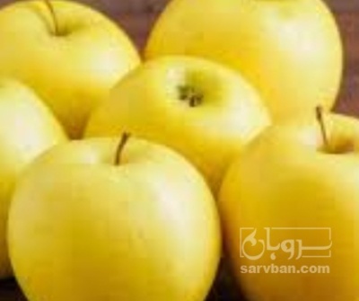 فروش سیب زرد
