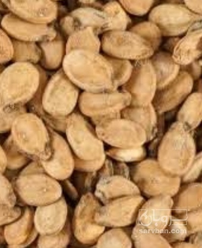 فروش تخمه هندوانه بو داده