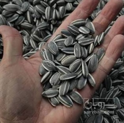 فروش تخمه آفتابگردان بود داده