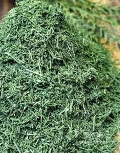 فروش شوید خشک (گیاه‌ دارویی)