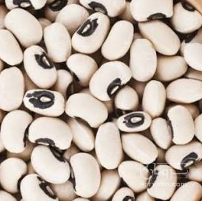فروش لوبیا چشم بلبلی