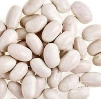 فروش لوبیا سفید
