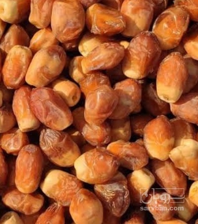 فروش خرمازاهدی