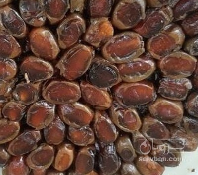 فروش خرما خاصویی