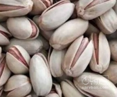 فروش پسته اکبری