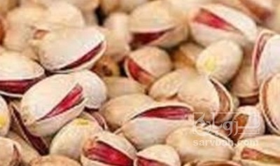 فروش پسته سفید