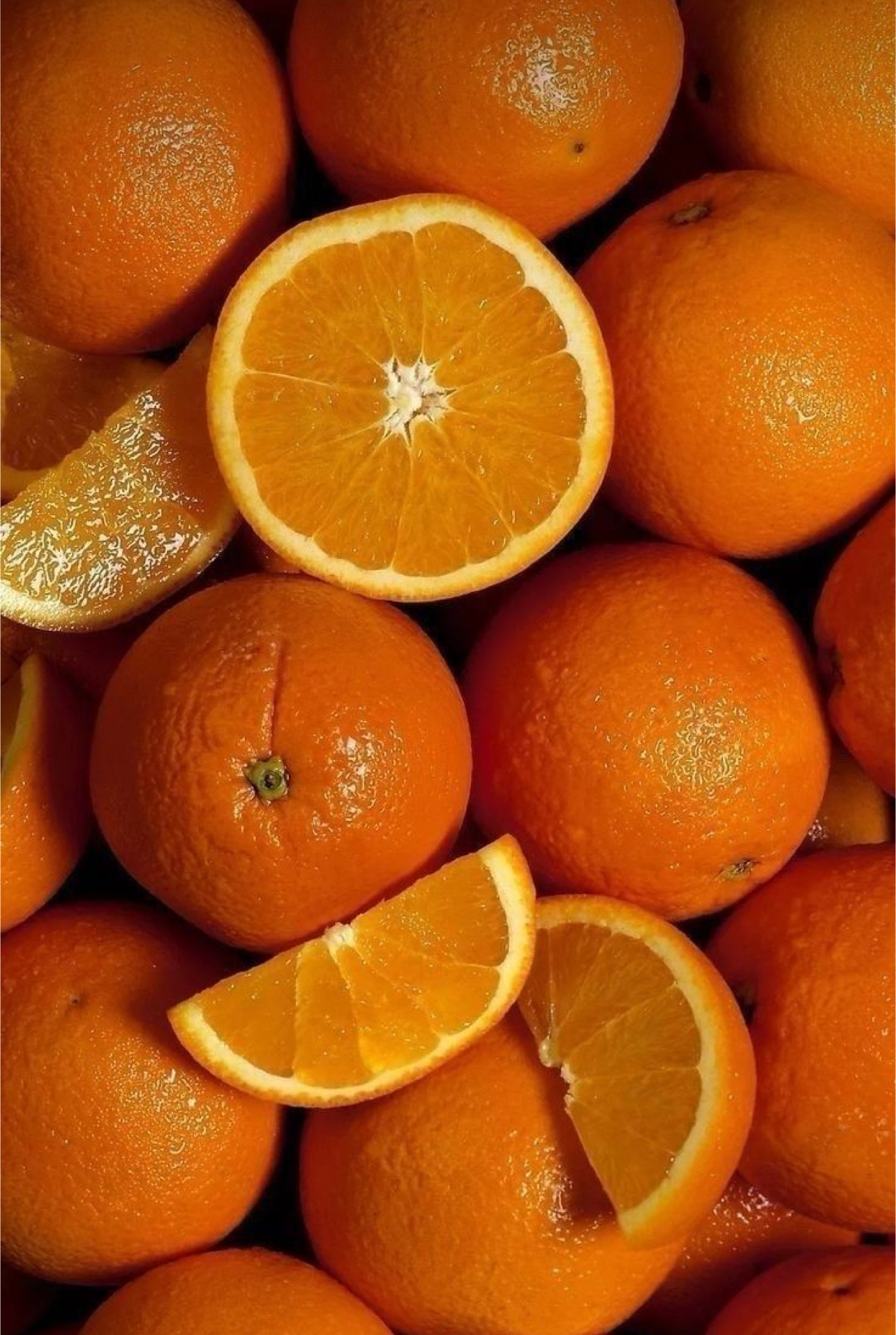 فروش پرتقال تامسون