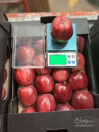 فروش سیب