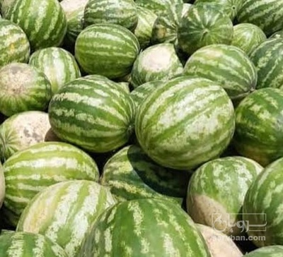 فروش هندوانه