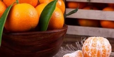 فروش نارنگی