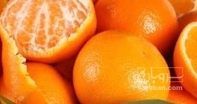 فروش نارنگی