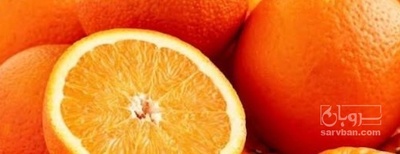 فروش پرتقال